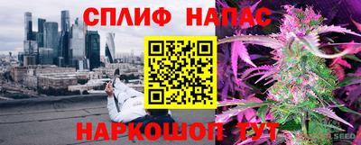 мдпв Новозыбков